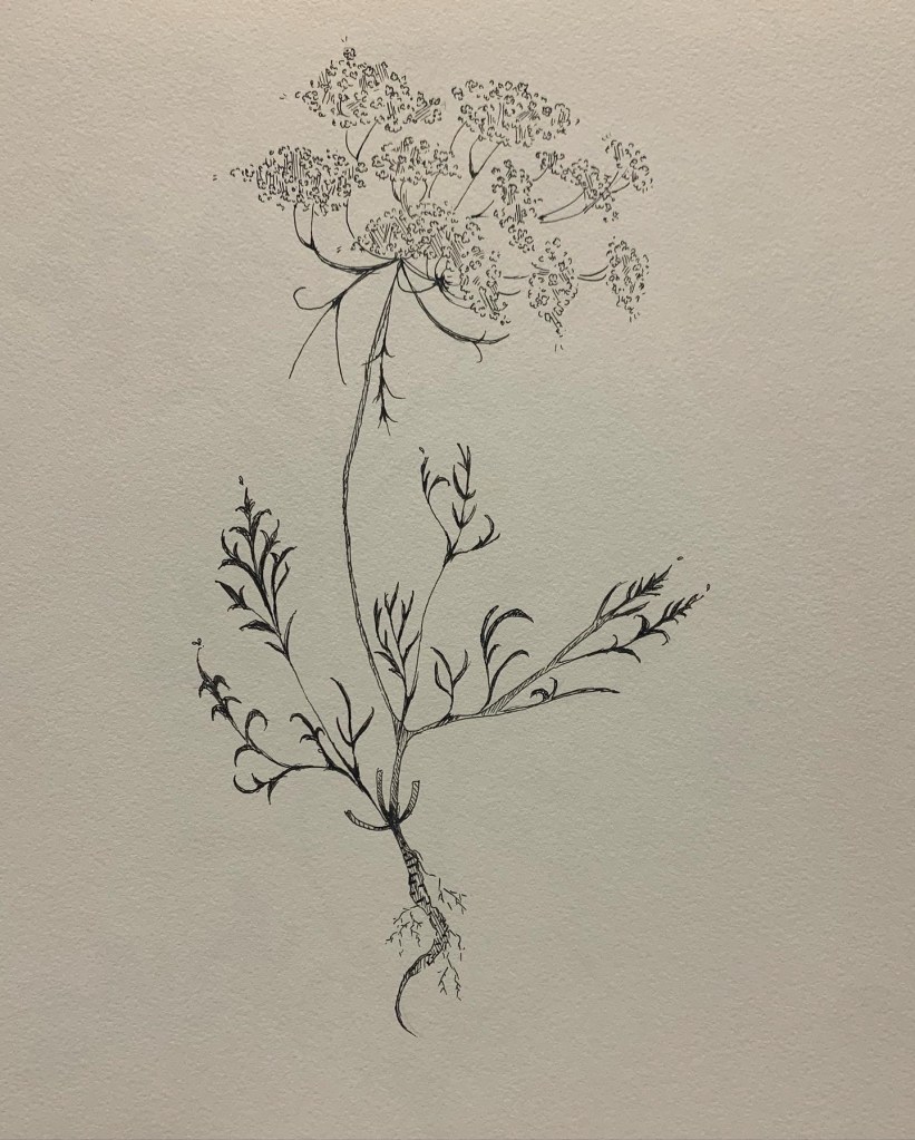 606d9bb9-fc86-4211-959e-e76bbc0375b8-1