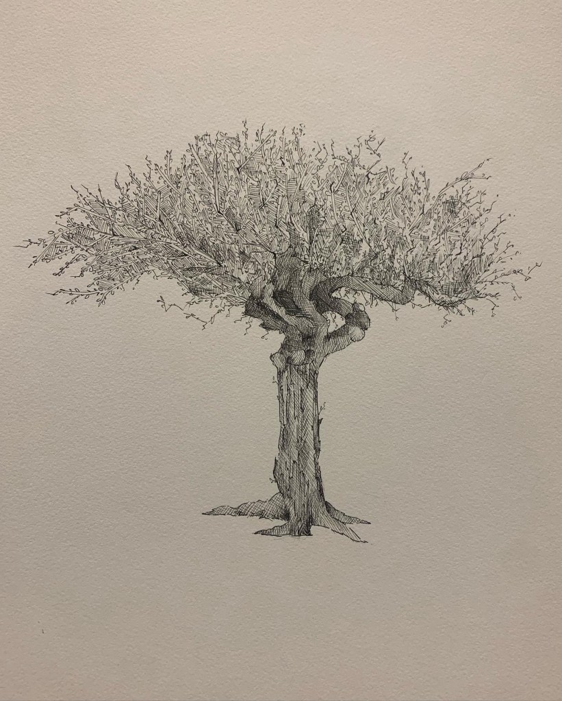 7f2650c1-b5bd-4a2f-834c-c4b6a9e45132-1