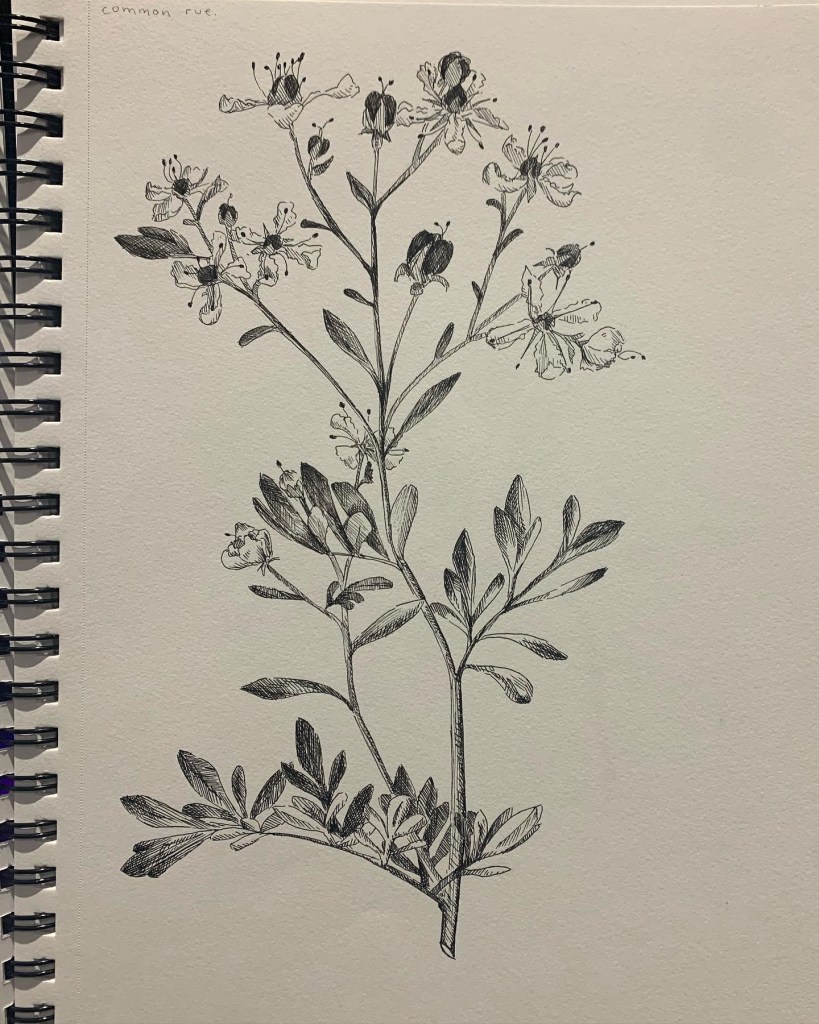 c9ed3a34-3b19-4d30-9146-db541861be7f-1